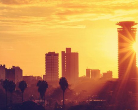 Experts Explain Surge in Mosquitoes Across Nairobi