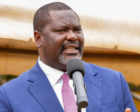 Ruku Dismisses ODM Bid for Deputy President Seat in 2027