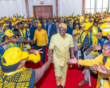 Lawyer Moves to Court to Stop UDA Political Meetings at State House