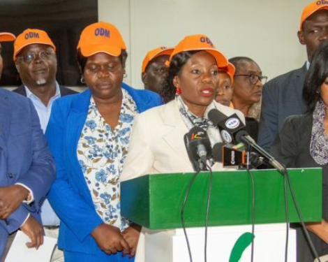 ODM Convention to Focus on Oburu Odinga Endorsement and UDA Talks Only