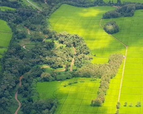 Little-Known Kenyan Law That Lets the Government Take Your Land