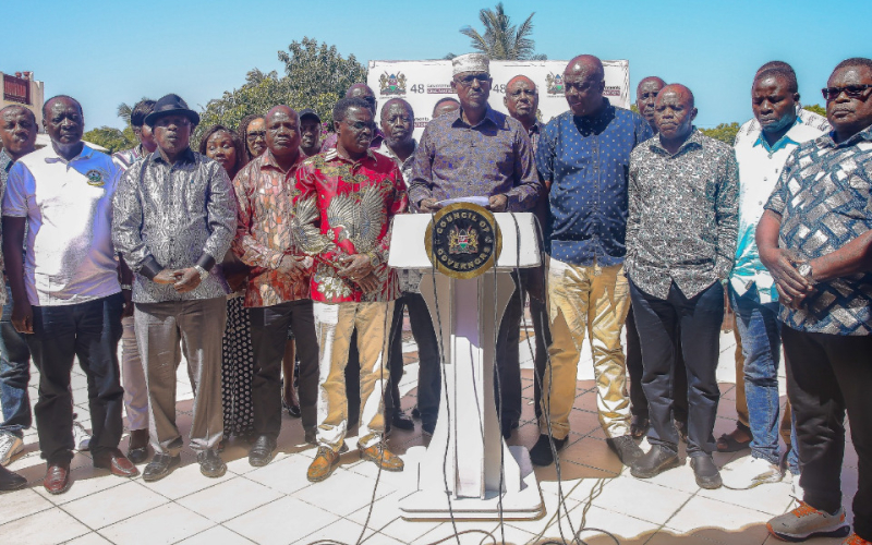 Council of Governors Accuses Senators of Bullying and Extortion