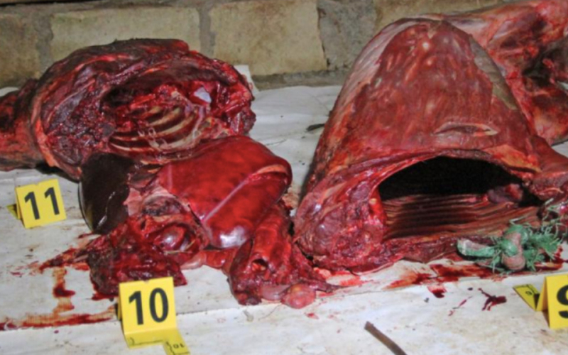 Four Arrested as KWS Seizes Two Tonnes of Zebra Meat in Kiambu