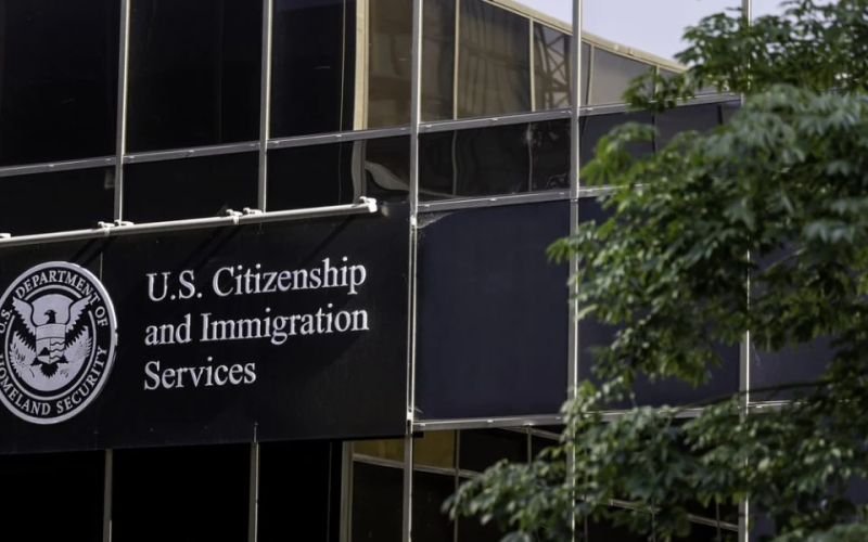 OPT Delays Leave International Students Unable to Work in the US