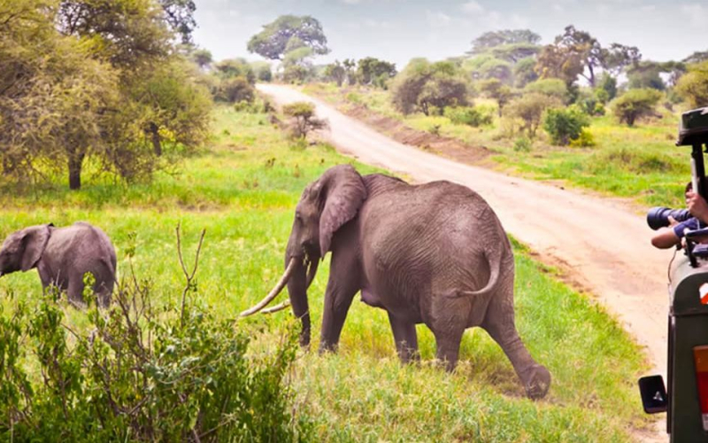 Kenya Tourism Hits Record Sh500 Billion in 2025