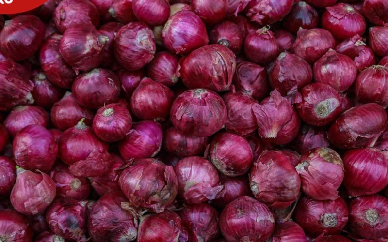 How Onion Farming Can Make You a Millionaire