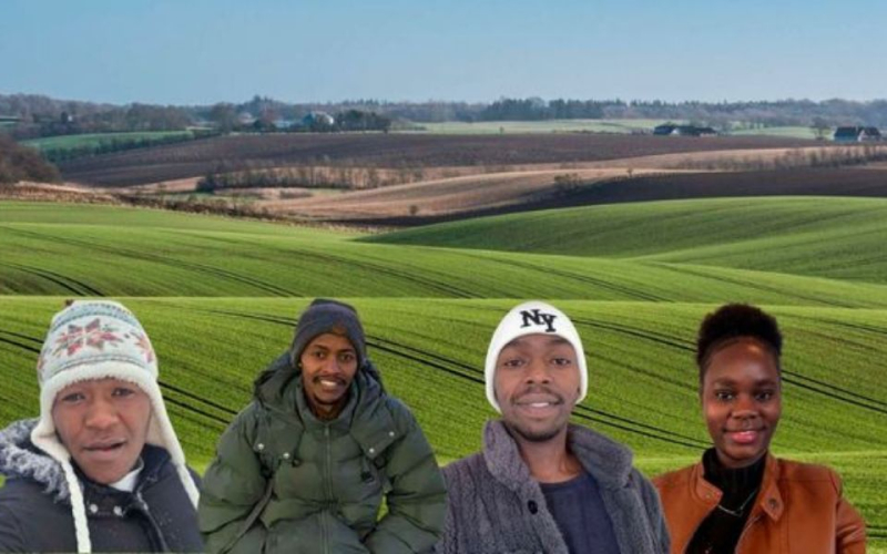 Young Kenyans Earning Up to Sh680,000 on Danish Farms