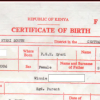 Murkomen: Plan Underway to Remove Birth Certificate Application Fees