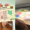 How the Redesigned IDP Helps Kenyans Drive Abroad Without Legal Hassles