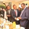 Kenya Launches Africa’s First Bee Venom Marketplace for Farmers