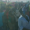 Protests Erupt in Haiti as Crowds Attempt to Halt Kenyan Police Withdrawal