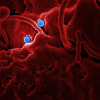 Ebola Outbreak Worsens as Scientists Rush to Test New Treatments