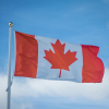 Kenyan Professionals in Canada Confront Housing Challenges Amid Growing Population