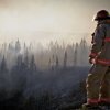 Trump Criticizes Canada Over Wildfires Affecting U.S. Air Quality