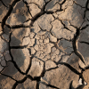 COP30: Global Climate Summit Faces Scrutiny Amid Key Leaders' Absence