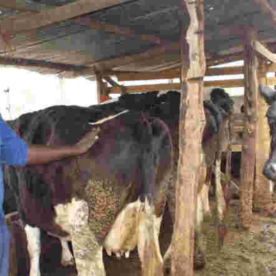 US Firm to Give Kenyans Access to Online Agricultural Data