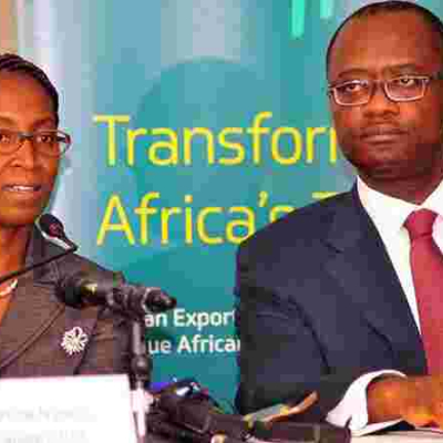 Afreximbank Courts Kenya's High Net Worth Individuals with Sh31 Billion Shareholding Deal