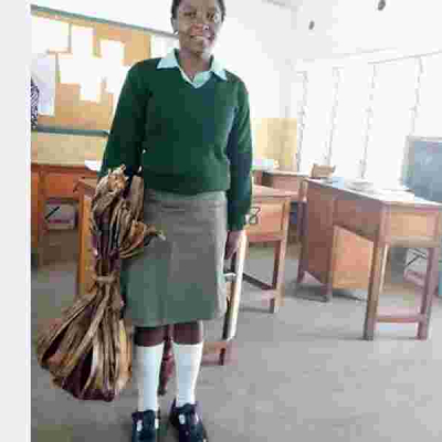 Form three Student Hilda Bundi Appointed Environment Ambassador after Her Banana Leaves Shopping Bag Went Viral on Internet
