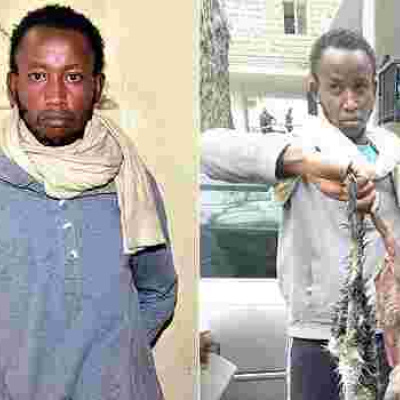 Nairobi Man Arrested for Selling Samosas Made from Cat Meat