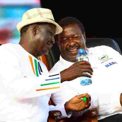 NASA Roots for Bomas Draft of the Constitution