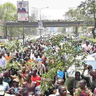 Jubilee MP Wants Gov't to Create Designated Demonstrations Areas