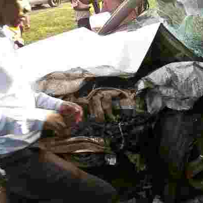 Three AIPCA Bishops Die in Kirinyaga Road Crash