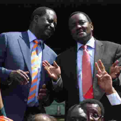 NASA Says Kalonzo Could  Be 'Sworn in' as Deputy President in Germany