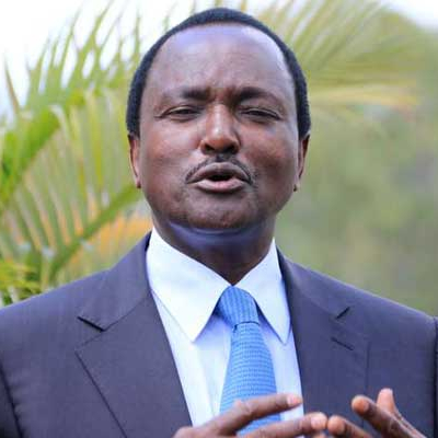 Kalonzo Speaks about Life During His 3-Month Stay in Germany