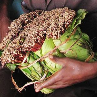 Latvian Man Jailed for Smuggling Miraa into the UK from Nairobi