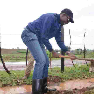 Suspended IEBC CEO Ezra Chiloba Finds Peace in Farming, Says He's Tired of 'Noises Out there'
