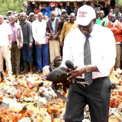 'Hustler' DP William Ruto Returns to Kambi Ya Kuku Where He Once Sold Chicken to Motorists, Launches Chicken Auction