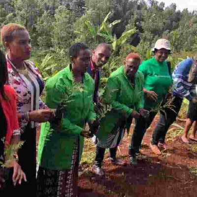 Kenyans Online Roast Murang'a Woman Rep Sabina Chege over Her 'Ask your Mother' Response to a Twitter User