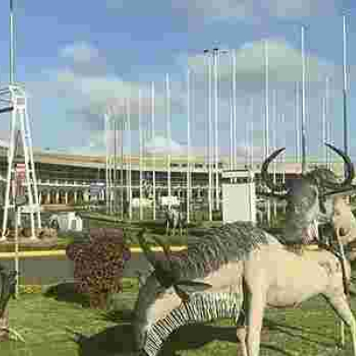 Self-Declared Kenyan 'Moral Police' Ezekiel Mutua Wants 'Sexually Suggestive' Wildebeests Sculpture Removed from JKIA