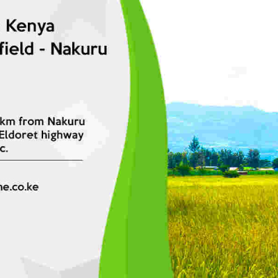 Affordable Investment Opportunity at Springfield - Nakuru