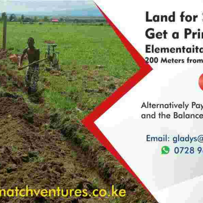Match Ventures: Prime Plots for Sale in Elementaita, Nakuru 