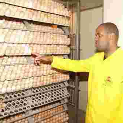 Meet Tony Kiragu, a Kenyan Who Has Built a Sh20 Million Agri-Business after Ditching Lucrative Job in the US