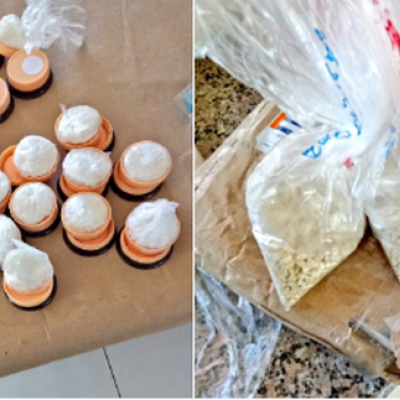 Detectives Intercept Narcotics Worth Millions of Shillings at JKIA 