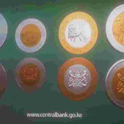 Group Files Case to Block Printing, Circulation of Kenya's New-Look Currency