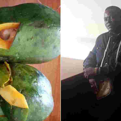 Anti-Drug Abuse Campaigner Arrested in Nairobi with Sh15 Million Heroine Stashed Inside Pawpaws