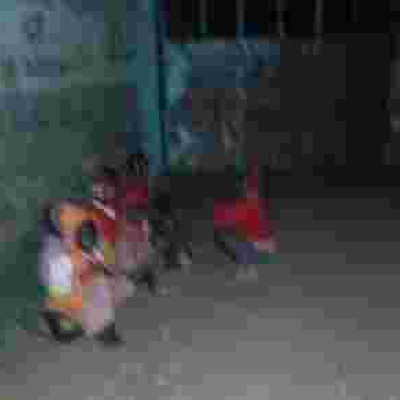 Photo of Small Kenyan Kids Waiting Outside School Gate at 5:30am Causes a Stir Online