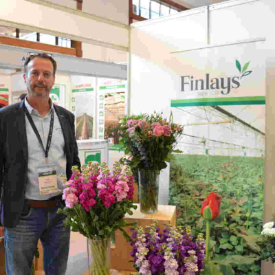 Over 1,000 Kenyans to Lose Jobs as Finlays Announces Closure of Farms