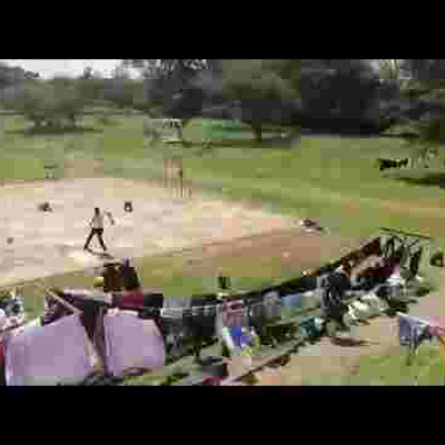 [WATCH] Baboons Invade Multimedia University in Nairobi, Chase after Students 