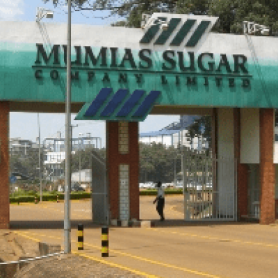Mumias Sugar Company Fires All 700 Employees