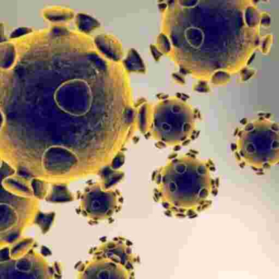 10 Kenyans in the US Have Died of Covid-19 So Far, Health Ministry Says