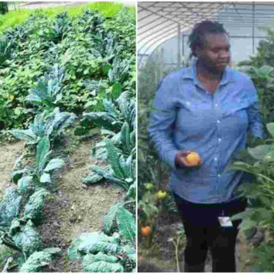 Kenyan Woman Reaps Big from Farming Vegetables Such as 'Managu' is the US