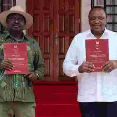 Kenyans in the Diaspora Express Displeasure with BBI Report 