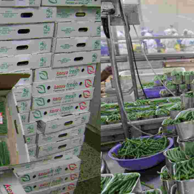 36 Kenyan Fruits and Vegetables Companies Bag Sh235 Million Orders in Virtual Italian Trade Fair