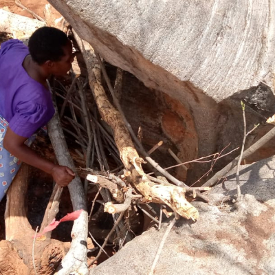 Pregnant Kenyan Woman and Her 6 Kids Live Inside Tree Stump for Months [PHOTOS]