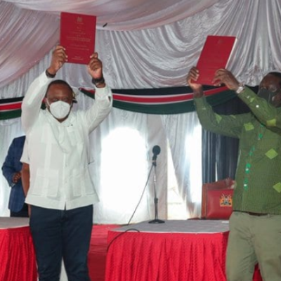 Say No to BBI Referendum, Lobby Group for Kenyans in the Diaspora Asks Voters 