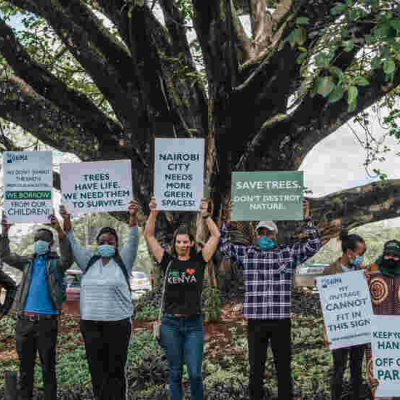 Uhuru Comes to the Rescue of 100-Year-Old Mugumo Tree Located in Westlands, Nairobi 